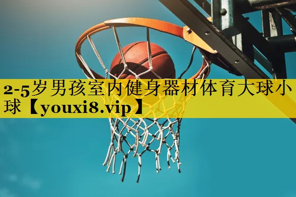 <strong>2-5岁男孩室内健身器材体育大球小球</strong>