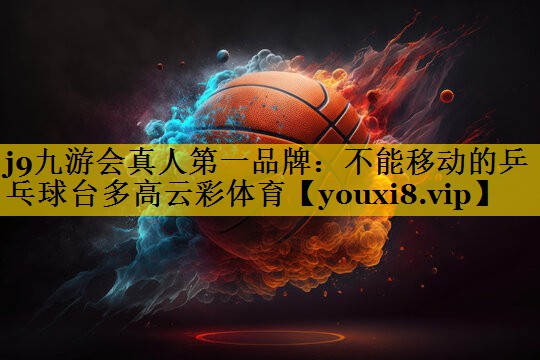 j9九游会真人第一品牌：不能移动的乒乓球台多高云彩体育
