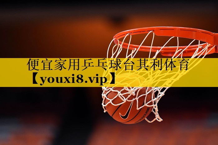 便宜家用乒乓球台其利体育