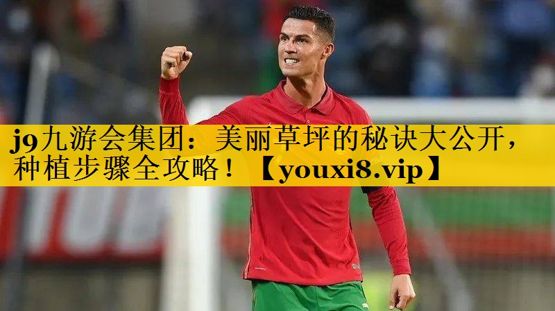j9九游会集团：美丽草坪的秘诀大公开，种植步骤全攻略！