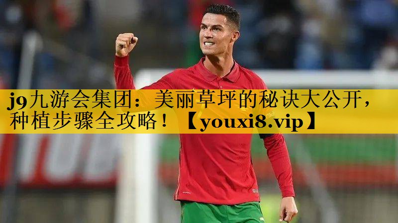美丽草坪的秘诀大公开，种植步骤全攻略！