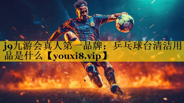 乒乓球台清洁用品是什么